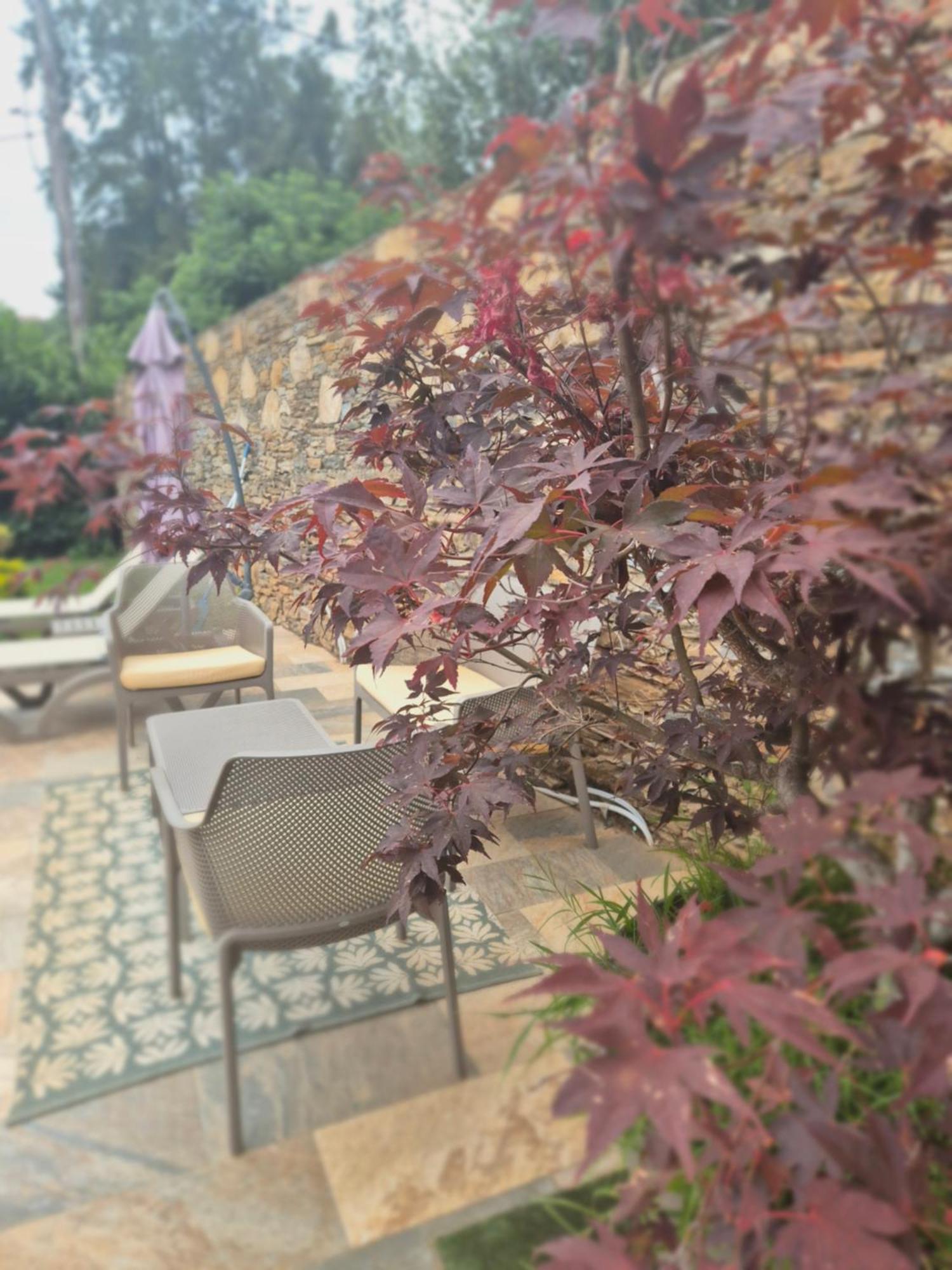 Rez De Villa Avec Piscine Privee, Wifi, Jardin Cloture Penta di Casinca Eksteriør billede